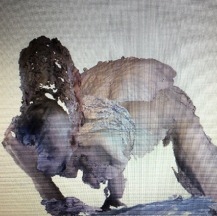 Interrupted 3D scan by artist Paul Coombs